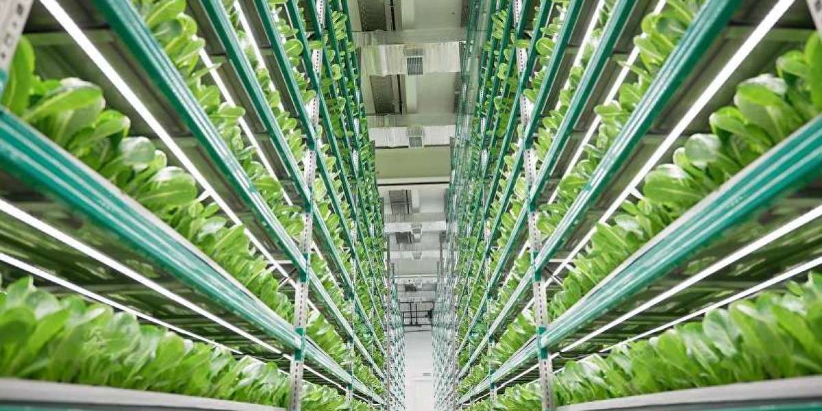 United States Indoor Farming Market Size, Share, Industry Analysis, Trends, Report 2023-2028