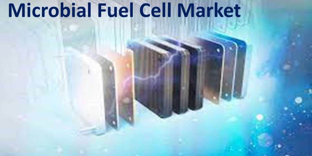 Microbial Fuel Cell Market: Reliable Industry Size and CAGR Predictions for 2022-2030