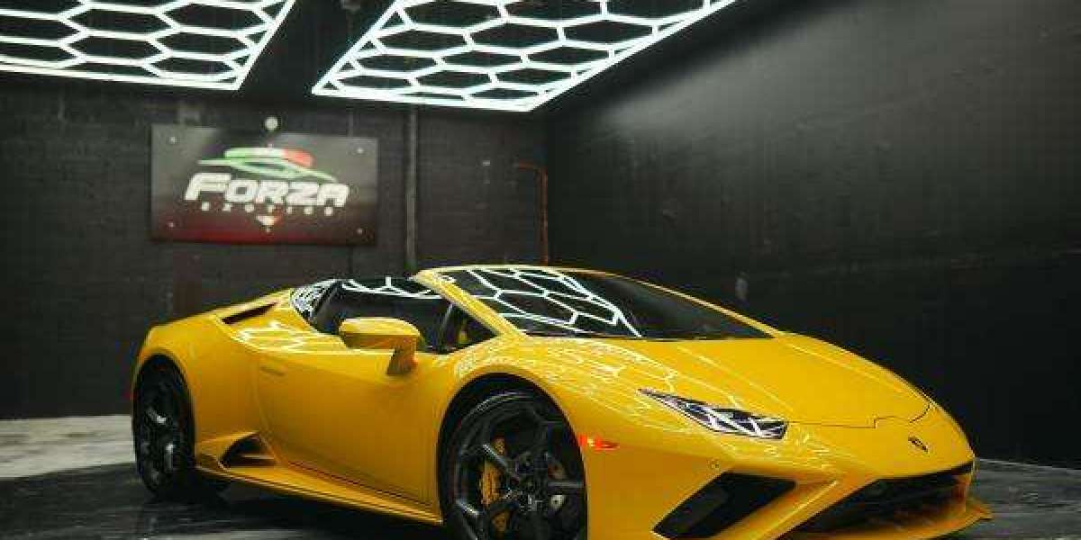 Why is a Lamborghini Supercar So Fast?