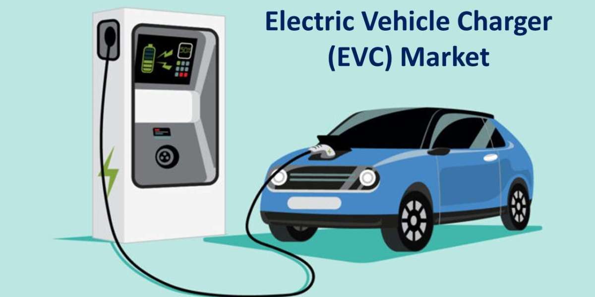 Electric Vehicle Charger (EVC)s Market: Leading Segments and their Growth Drivers 2022-2030