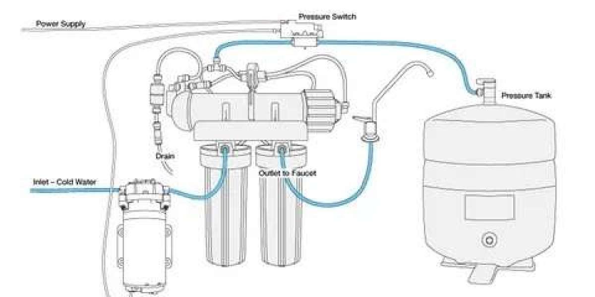 Unraveling Market Trends Across Geographies in the Reverse Osmosis Pump Sector