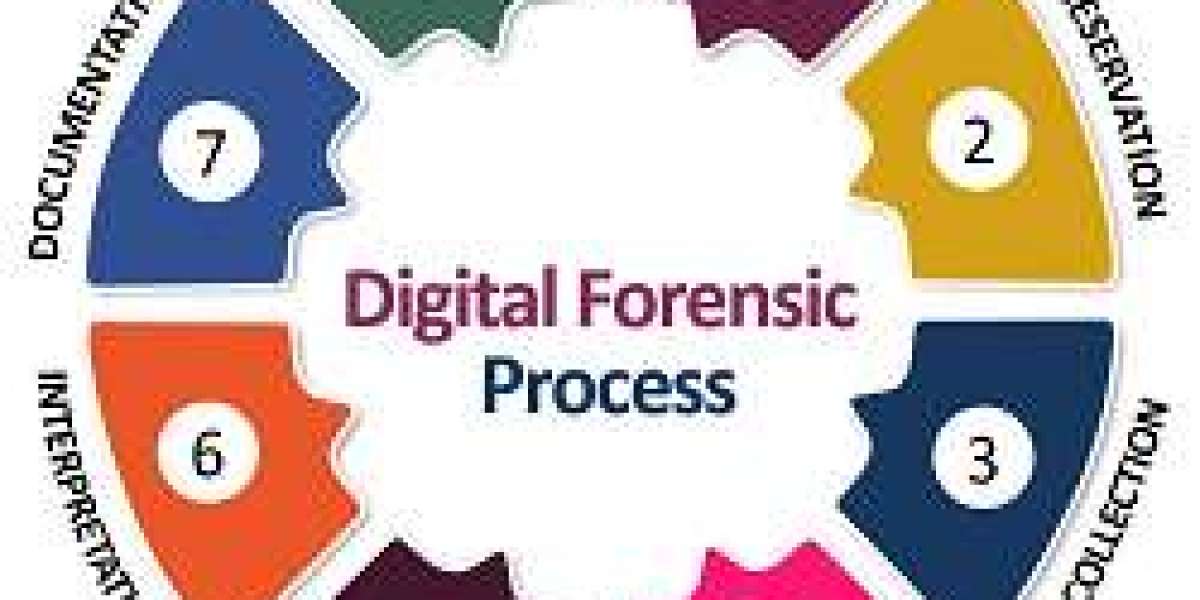 Digital Forensics Market to Explore Excellent Growth in Future