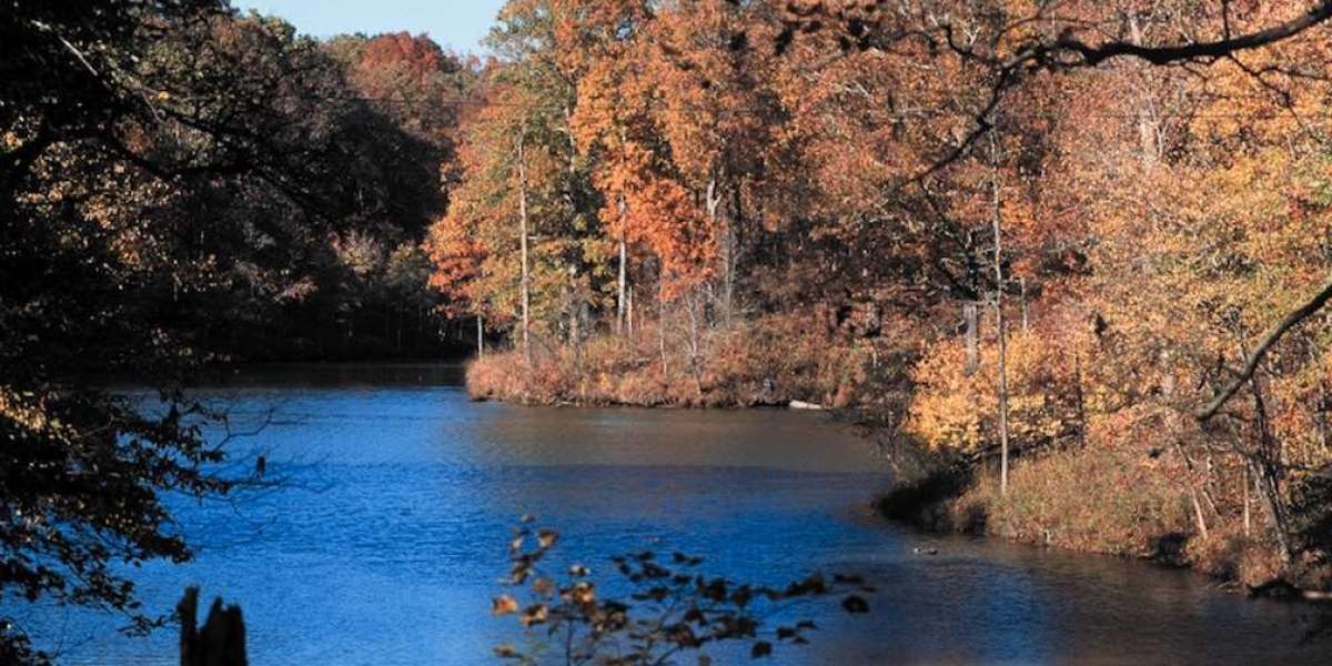 Relax and Recharge: Weekend Getaways in Mississippi