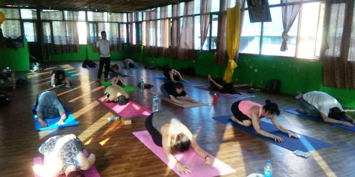 100-hours Yoga Teacher Training in Rishikesh