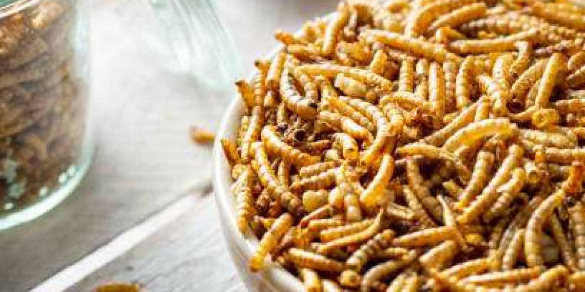 Insect Protein Market by Competitor Analysis, Regional Portfolio, and Forecast 2030