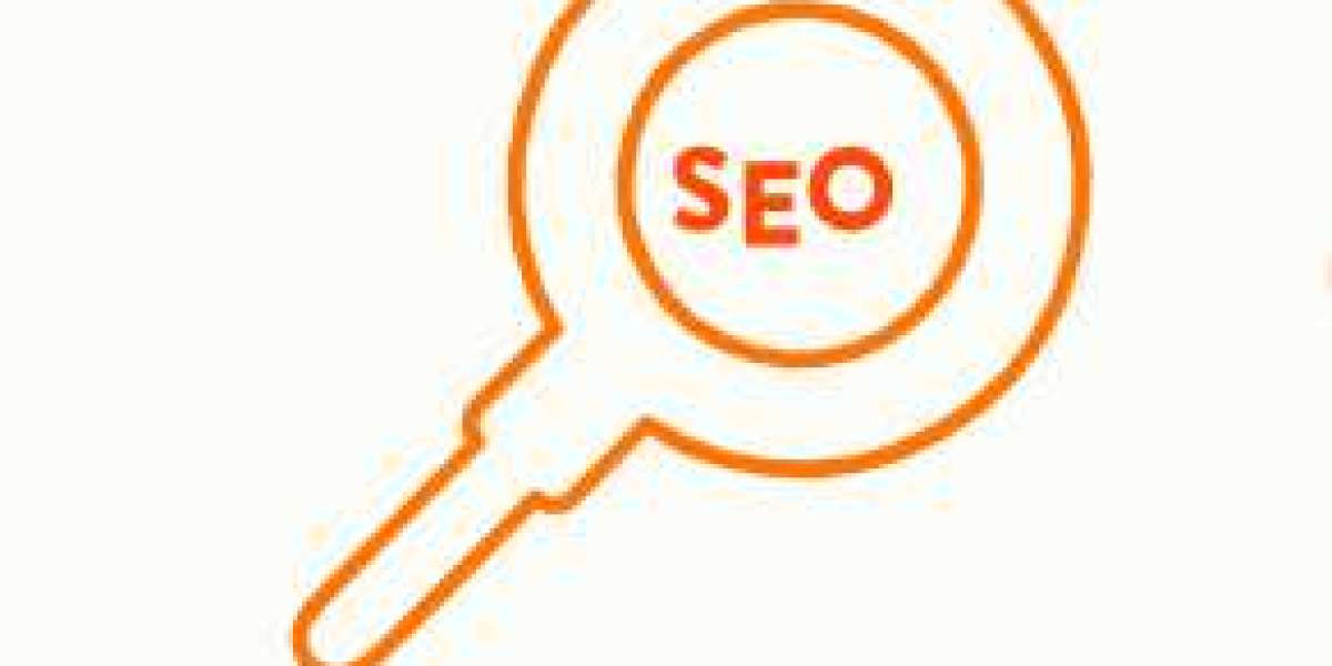A Complete Guide to Local SEO Service Providers in the USA in 2024