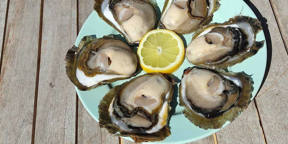 Oyster Market Segments, Industry Growth, Size, Share, Key Players and Forecast 2023-2028