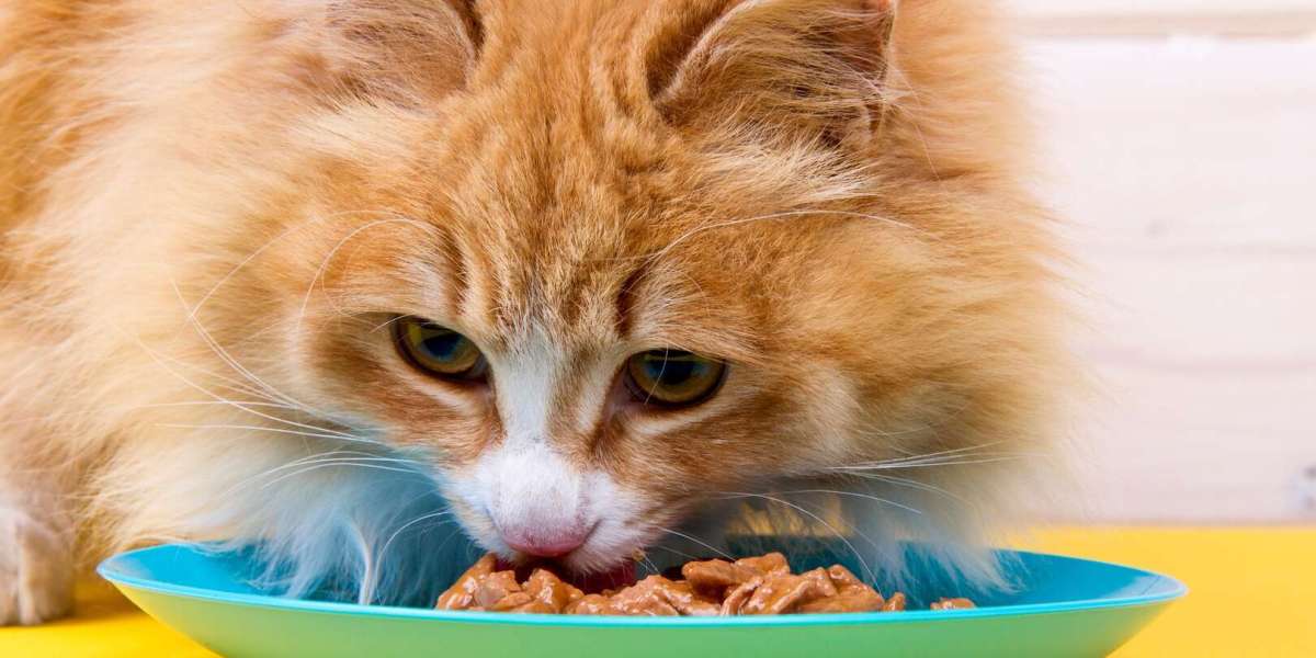 Unveiling the Purrfection: A Comprehensive Guide to Cat Wet Food