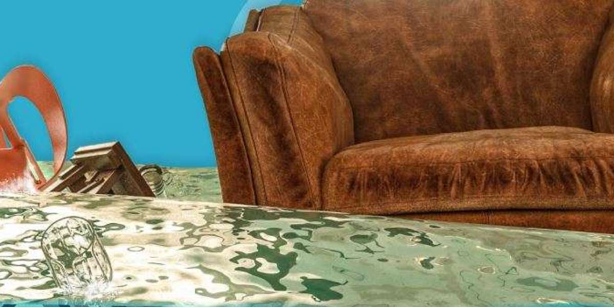 The Unexpected Benefits of Professional Wet Carpet Cleaning in Sydney