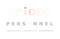 Recruitment Agencies East, West & South Auckland | Spider Personnel