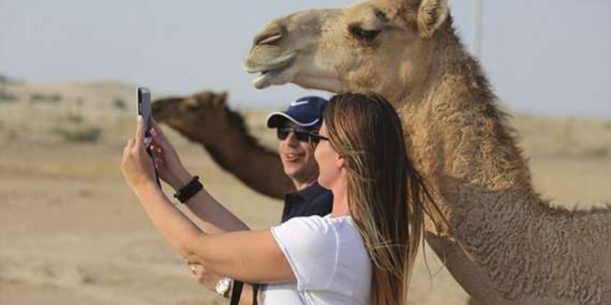 Exciting Trip for Abu Dhabi Desert Safari Adventure