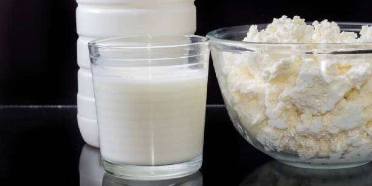 Fermented Milk Products Market Trends by Product, Key Player, Revenue, and Forecast 2030