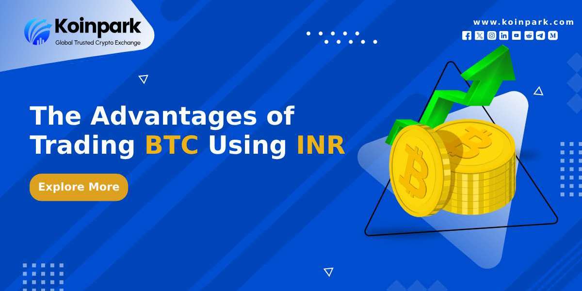 The Advantages of Trading BTC Using INR