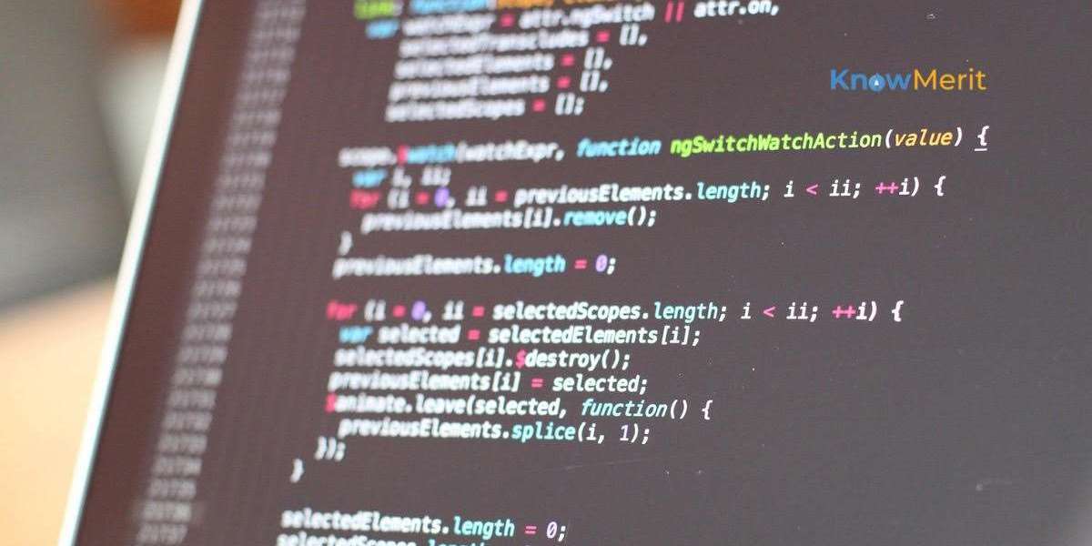 Empower Your Future: Online Coding Classes for Adults at KnowMerit
