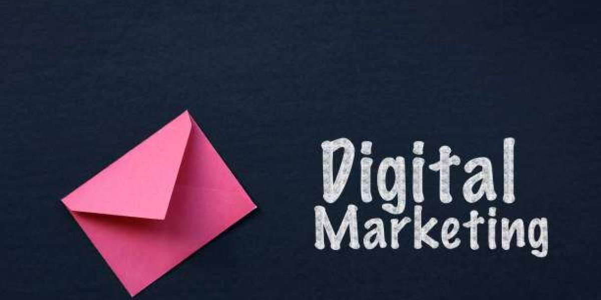 Strive for Excellence: A Comprehensive Look at Digital Marketing Agencies in Noida and Delhi NCR