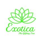Exotica Gifting Tree
