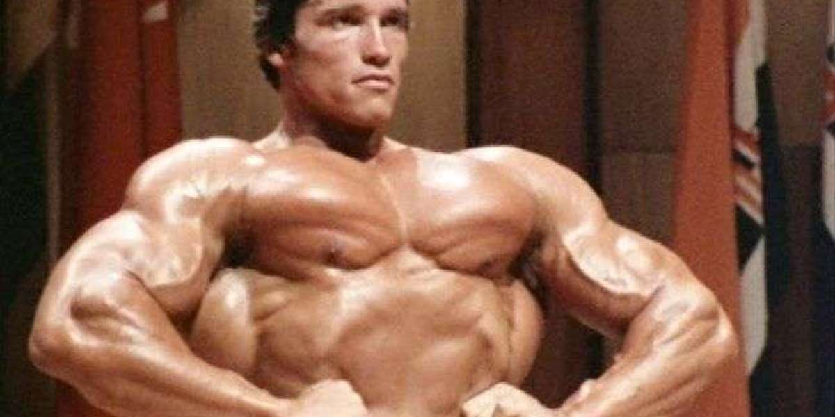 Arnold Schwarzenegger's 1980 Olympia Controversy: A Battle of Titans