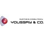 Youssry auditing