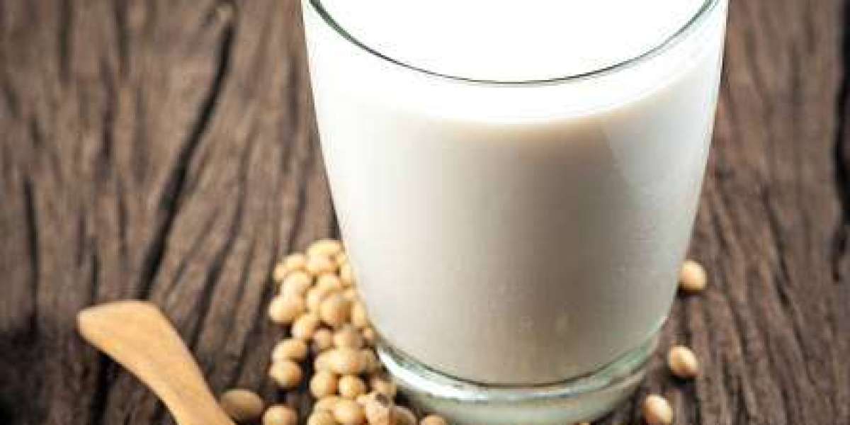 Soy Milk Market Insights: Drivers, Key Players, and Forecast 2030
