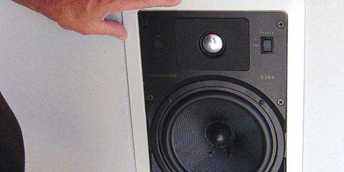 Enhanced Acoustics, Minimalist Design: In-Wall Speaker Installation