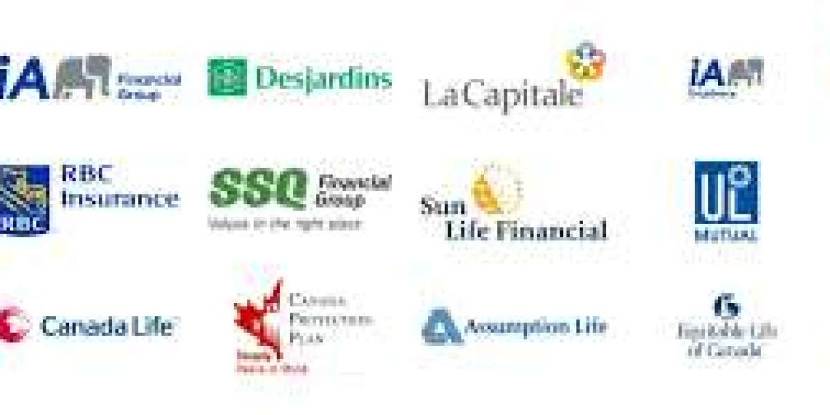 Best Canadian Protections Companies In 2023