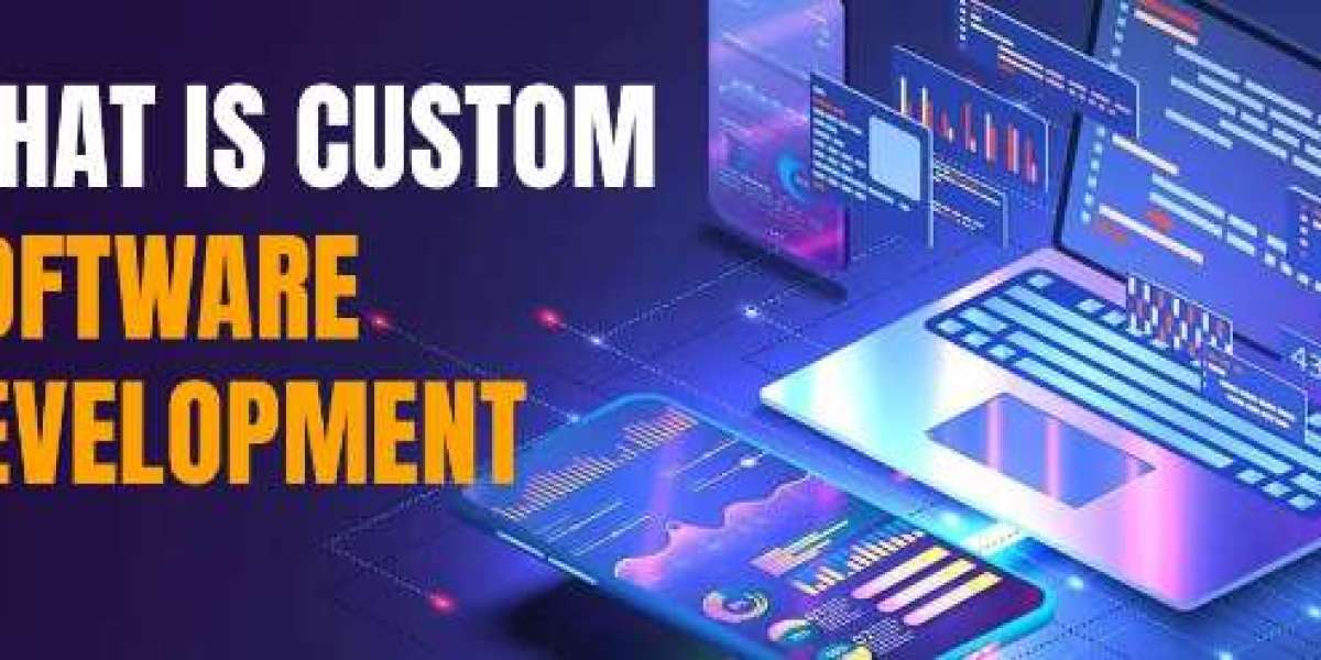The Ultimate Custom Software Guide | ExpertCodeCraft