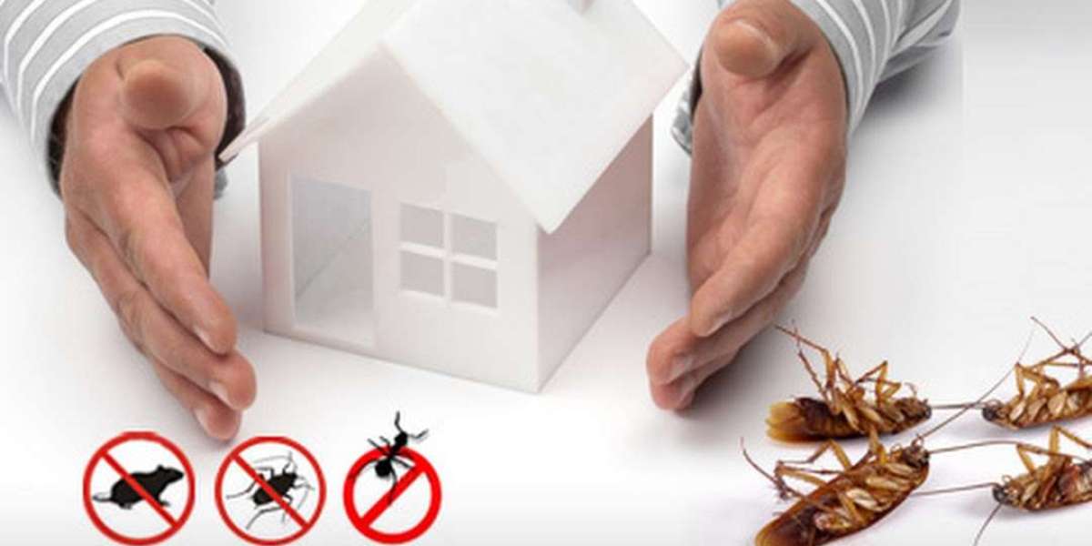 Unveiling the Secrets of Successful Pest Control in Sydney