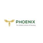 Phoenix Nursing Institute