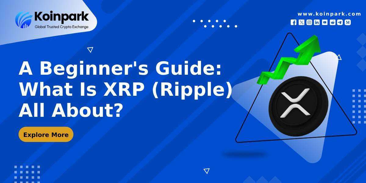 A Beginner's Guide: What Is XRP (Ripple) All About?