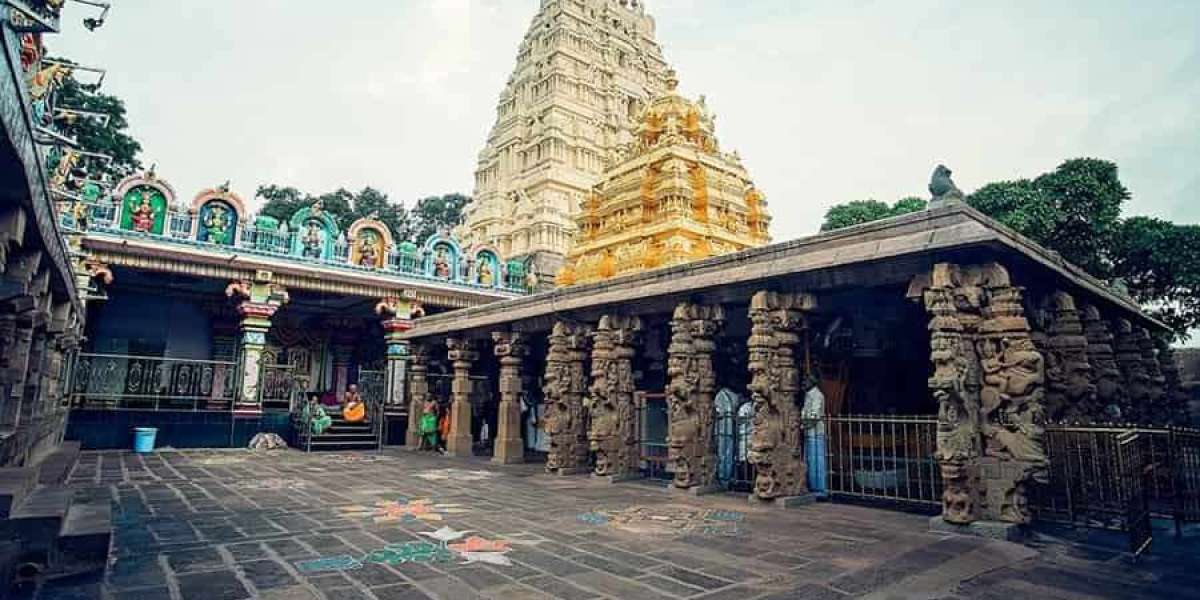 How to Prepared for Srisailam Mallikarjuna Swamy Temple Tour