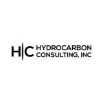HYDROCARBON CONSULTING INC