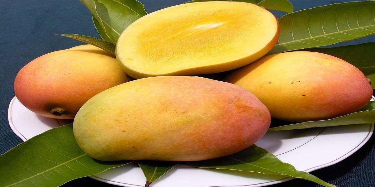 Sweet Success: A Look at Mango Companies in Pakistan
