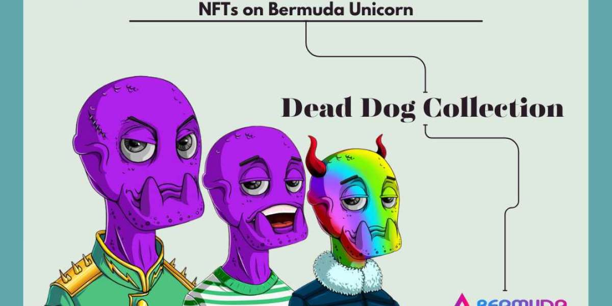 Beyond Mortality: The Artistic Journey of Dead Dog Collection NFTs on Bermuda Unicorn