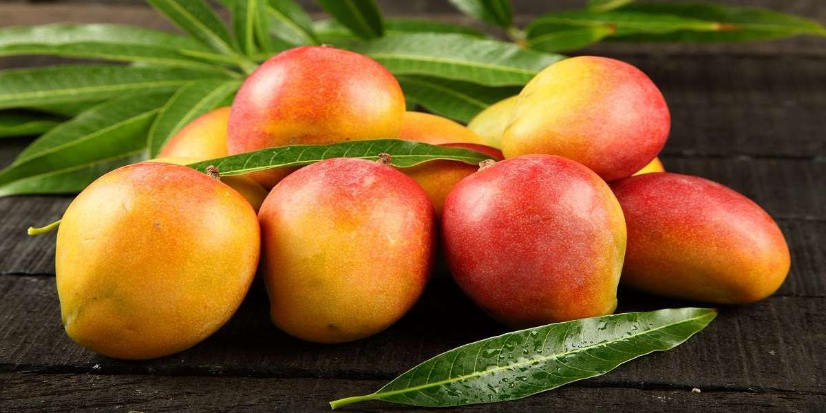 Guide For Real Time Fresh Mangoes Price in Pakistan