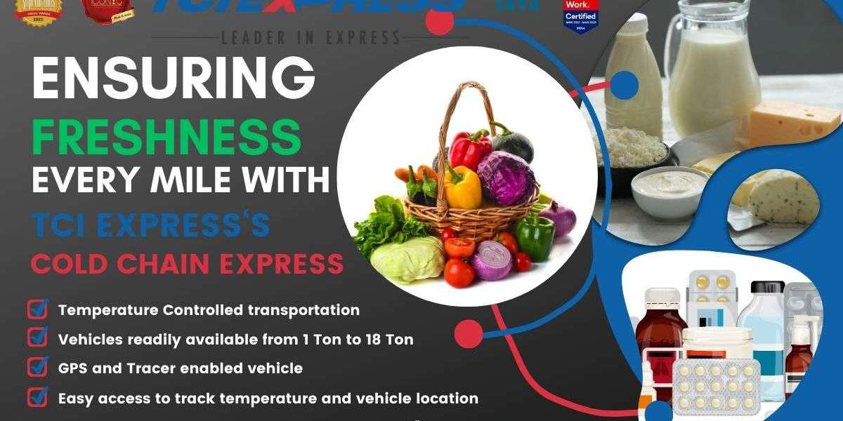 Navigating Excellence: Unveiling the Top 10 Logistics Companies in India with TCI Express