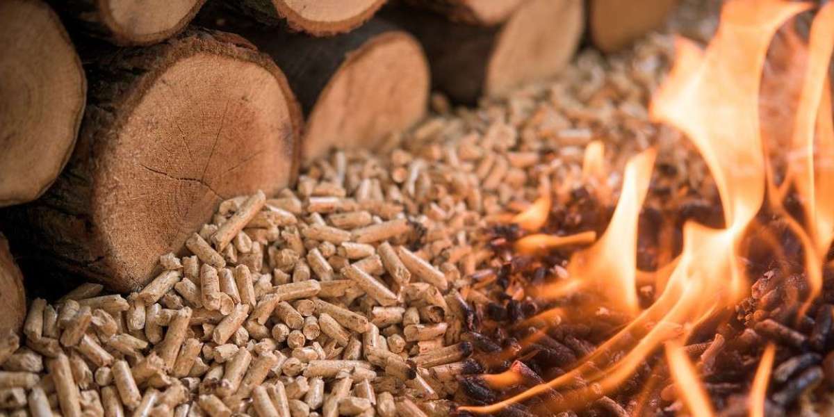 Green Energy Revolution: Biomass Pellets Market Surges to US$ 20,409.2 Million by 2033