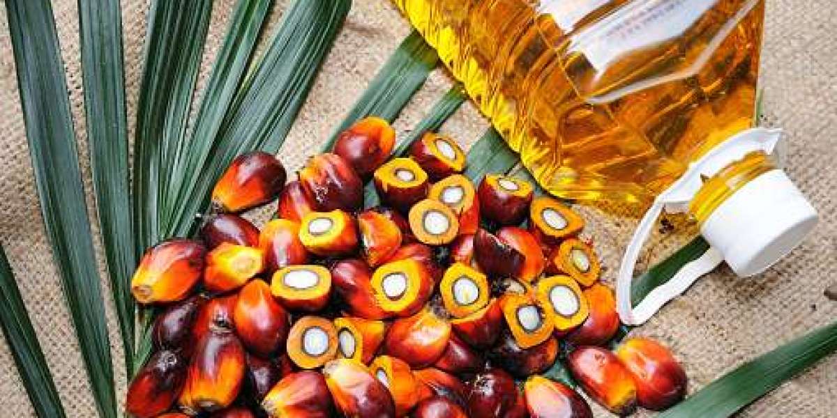 Palm Oil Market Insights: Growth, Key Players, Demand, and Forecast 2030