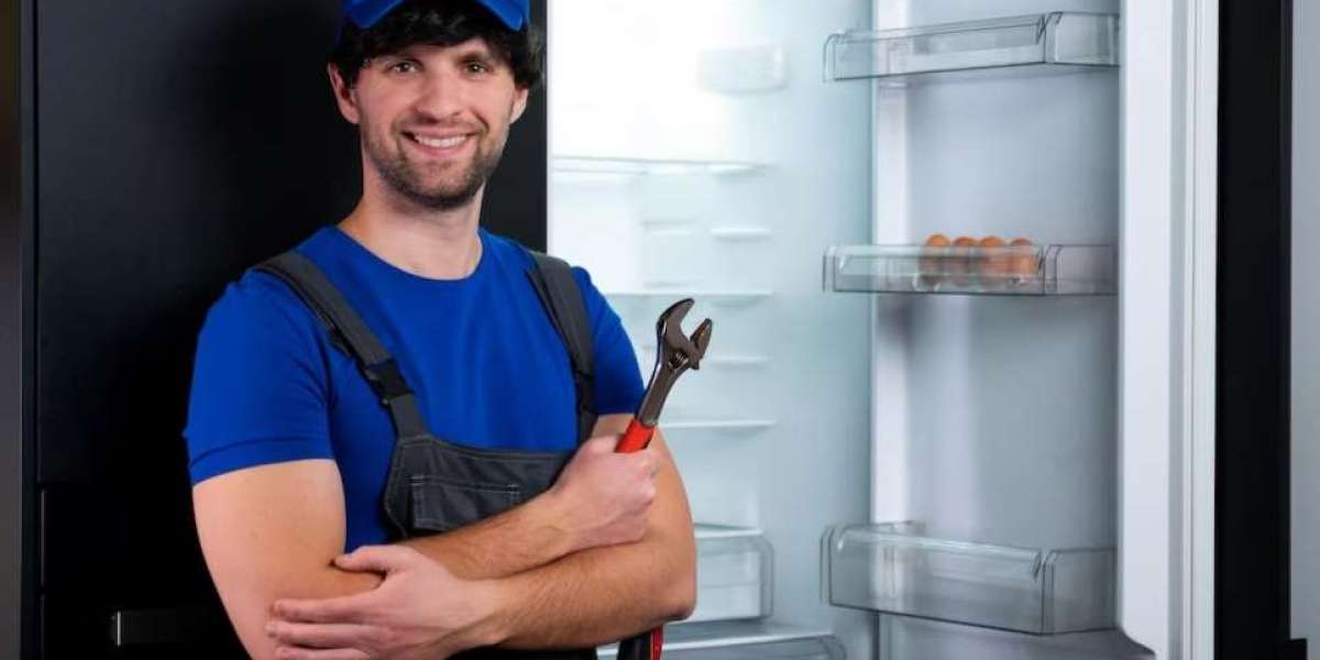 Navigating Fridge Repairs: Tips for a Well-Functioning Refrigerator