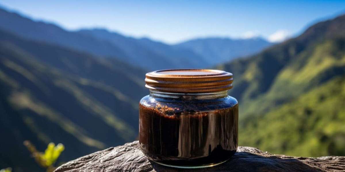Realizing the Potential: How Himalayan Shilajit Promotes Muscle Strengthening