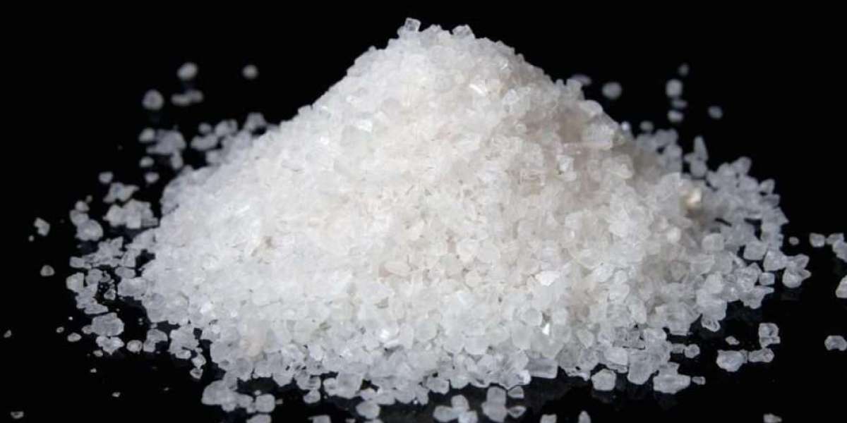 Sodium Chloride Market Targets US$ 67.4 Billion by 2033 With a CAGR of 4.4%