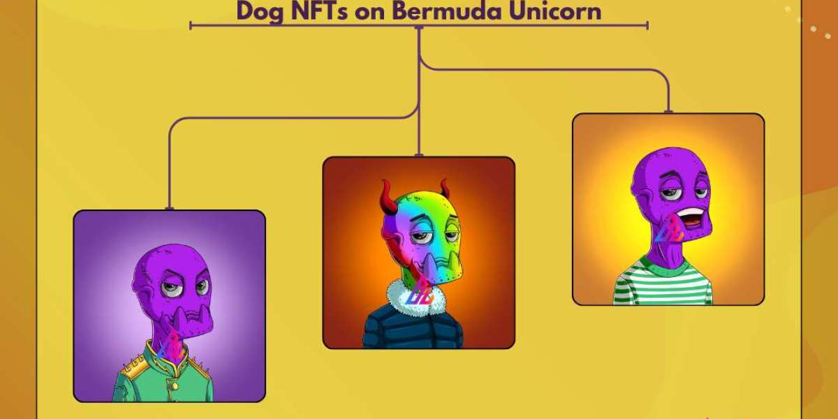 Unleashing Emotion: Explore the Poignant Dead Dog NFTs on Bermuda Unicorn