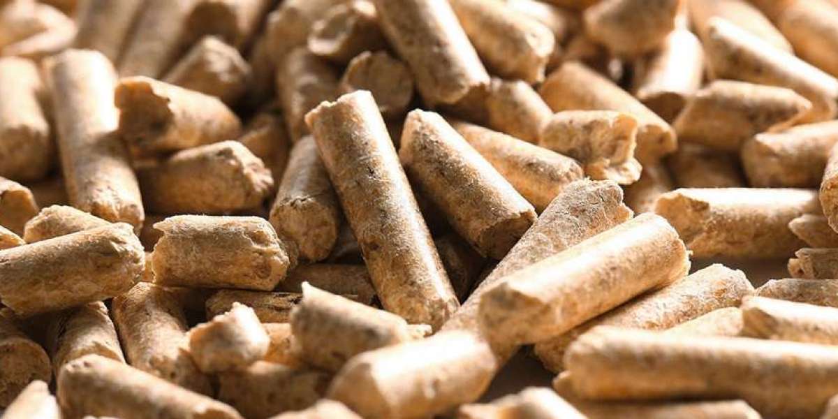 Remarkable Momentum: Wood Pellets Market to Grow at 10.2% CAGR, Reaching US$ 24.3 Billion by 2033
