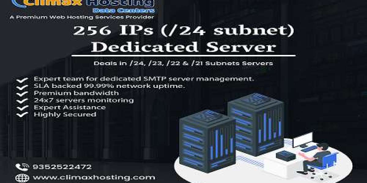 Unleash the Power of Connectivity with a 256 IPs Dedicated Server