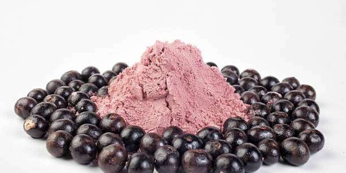 Fruit Powder Market Insights: Growth, Key Players, Demand, and Forecast 2030