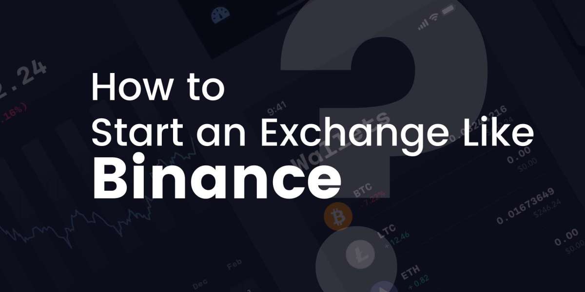 How To Start a Crypto Exchange Like Binance in 2024? - A Step By Step Guide