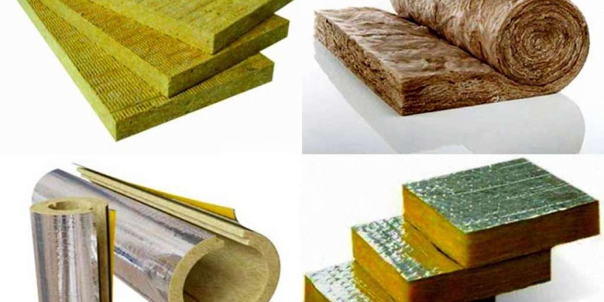Regional Analysis of the Thermal Insulation Material Market: Opportunities and Challenges