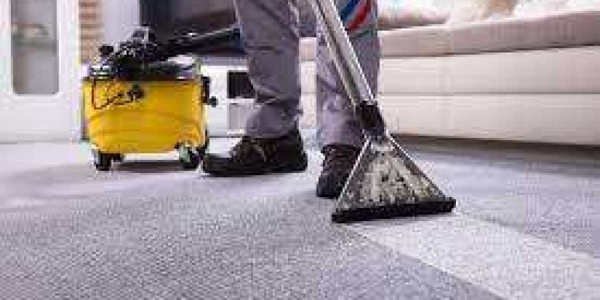 Stain-Free Sanctuary: The Role of Expert Carpet Cleaning