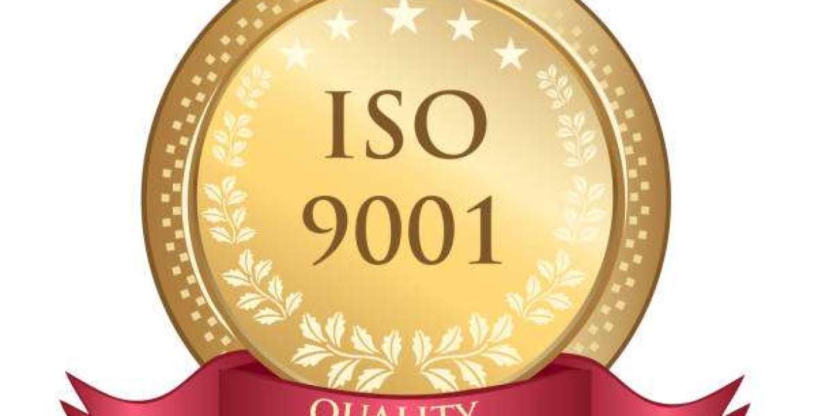 Why Does The ISO 9001 Standard Certification Application And Integration Need An ISO Consultant?