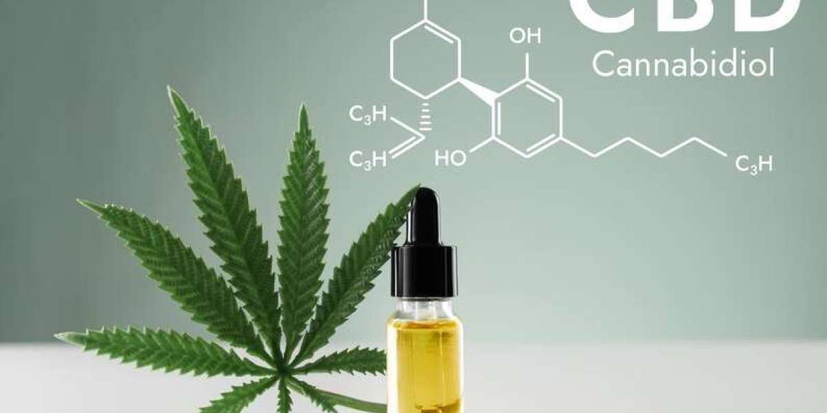 SEO Tips for Cannabis Brands to Boost Online Visibility