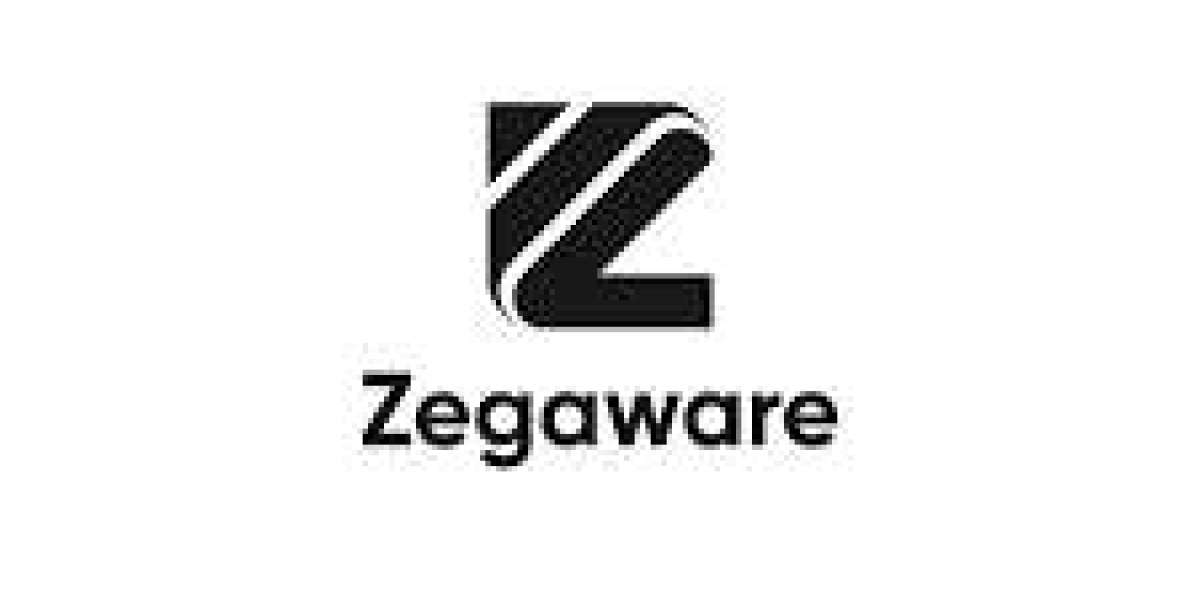 The Agile Approach to Software Development by Zegaware